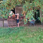 Vergroening Camping, Bring Own Tent