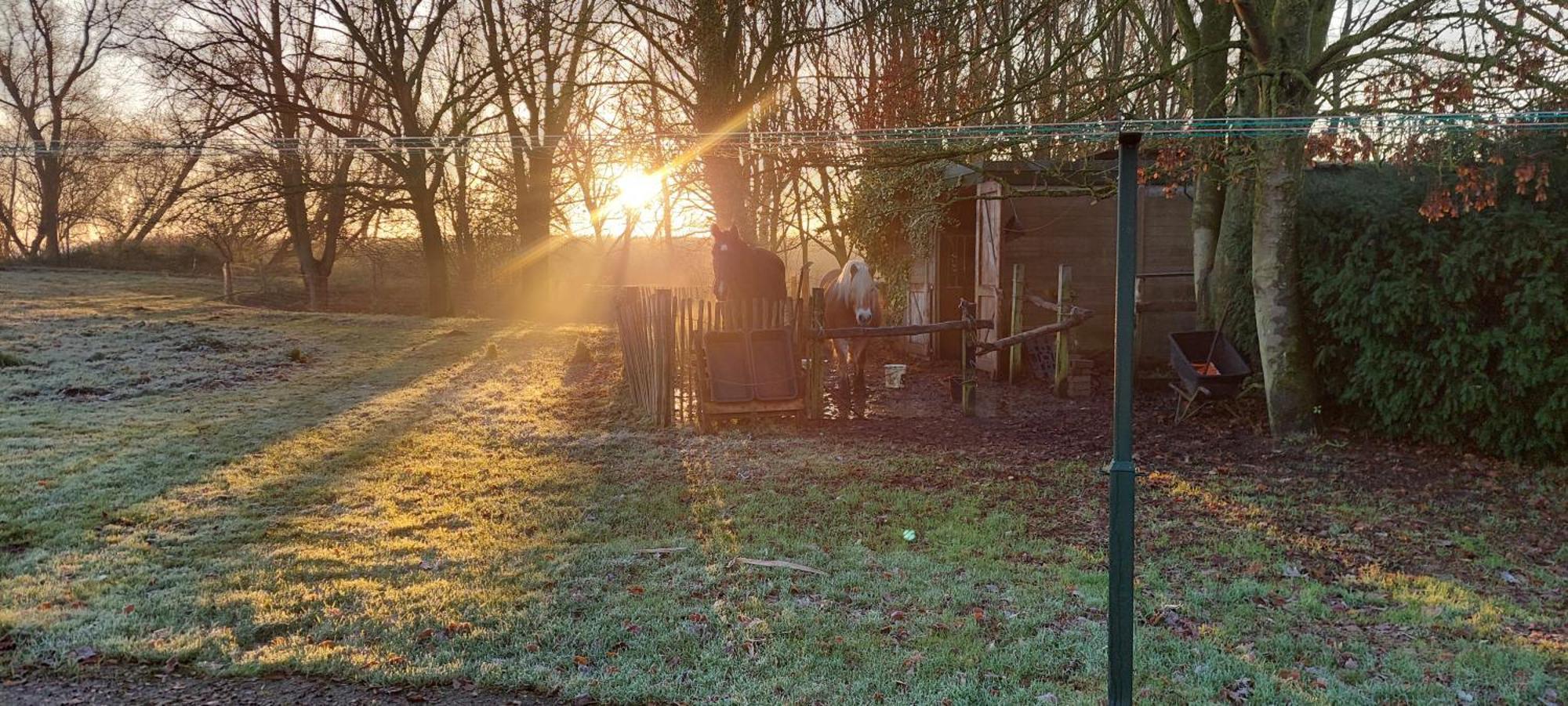Vergroening Camping, Bring Own Tent * IJzendijke
